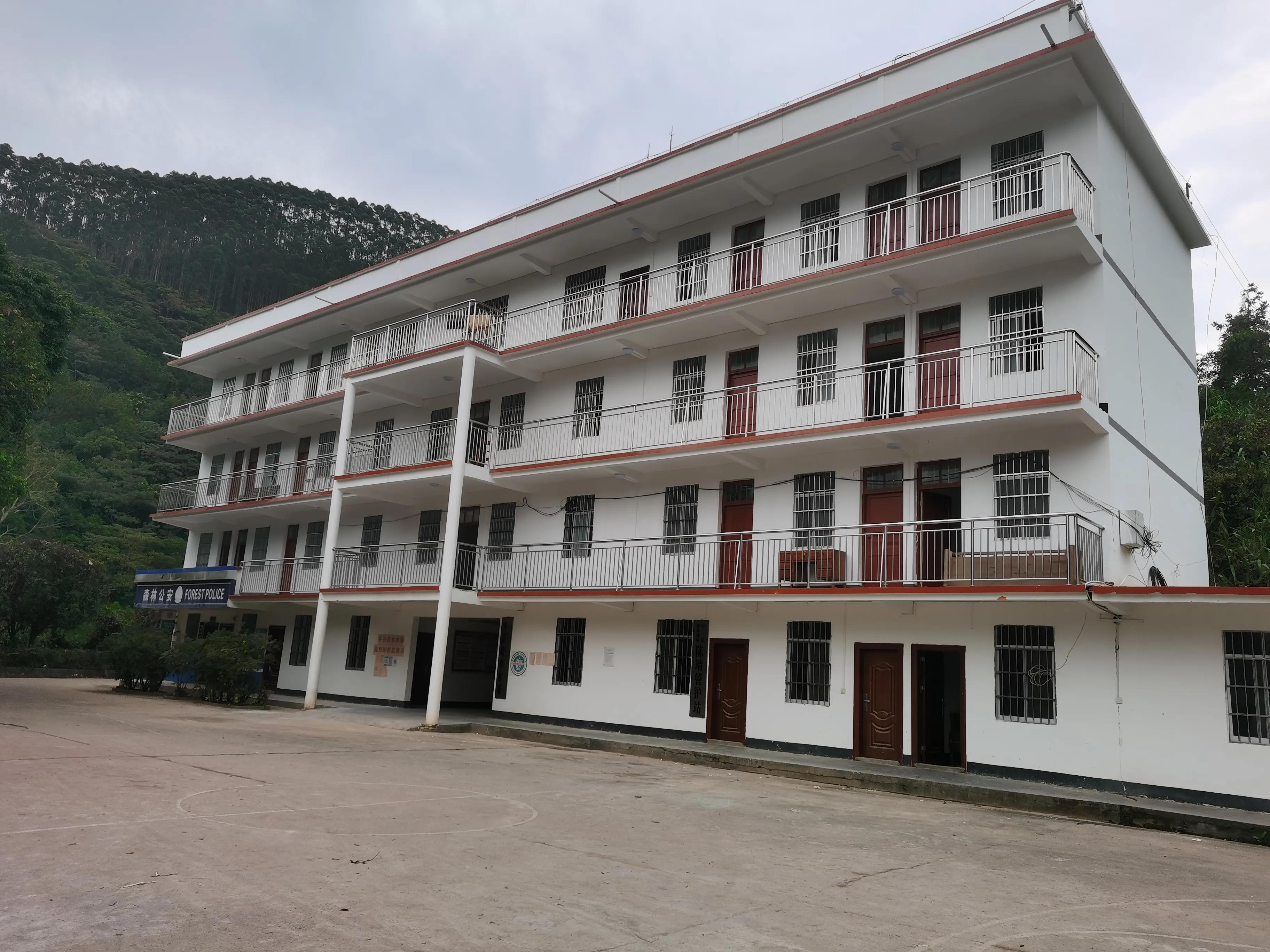 探秘原始森林的真实过程,揭露森林背后的真相