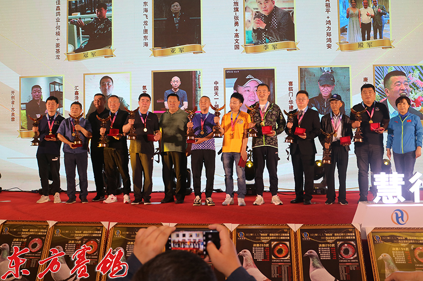 慧能信鸽秋棚晚宴,慧能金鸽源公棚春棚