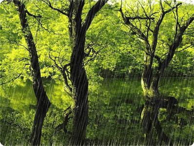 一天一个名言名句,一天一个成语