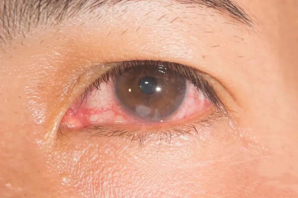 又一顶流被粉丝拉下神坛,又一正能量网红被央视痛批