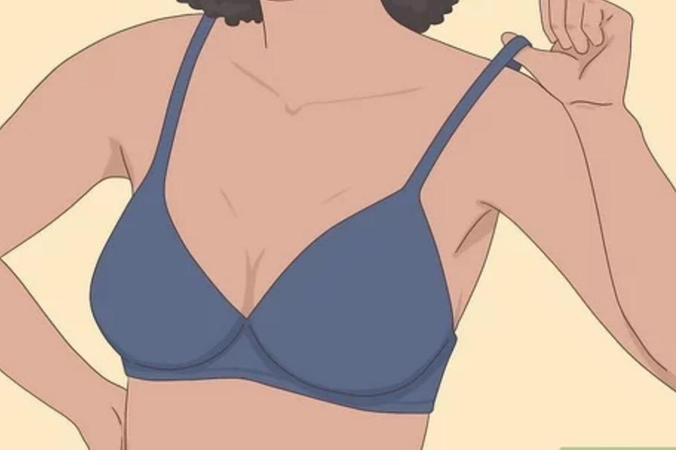 关于内衣内裤的绘本故事,有关于内衣的话题