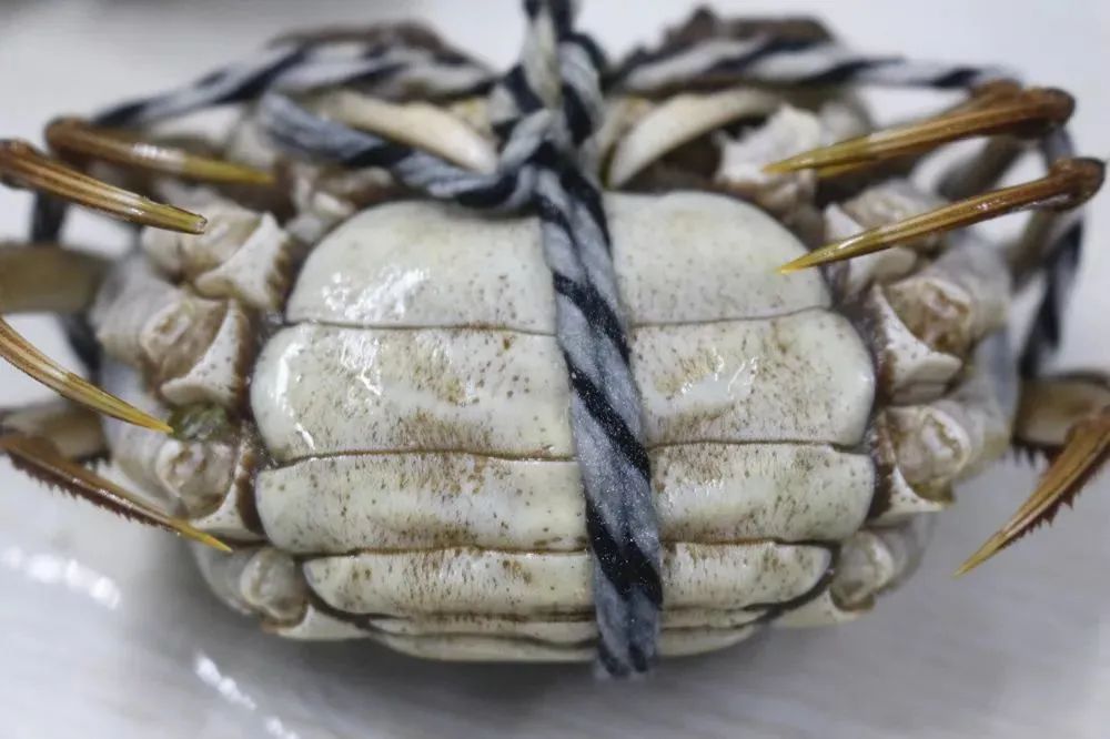 湖蟹和塘蟹测评,阳澄湖塘蟹和湖蟹哪个好