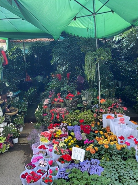 昆明一座让人流连忘返的城市,被低估的旅游城市昆明