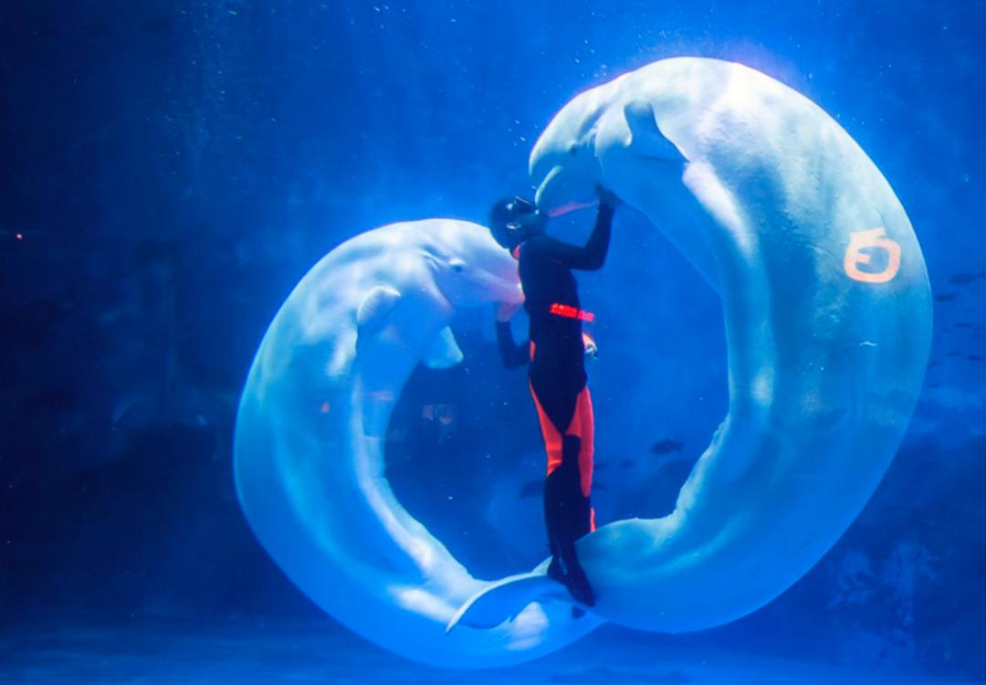 天津遛娃圣地,天津周末免费遛娃好去处
