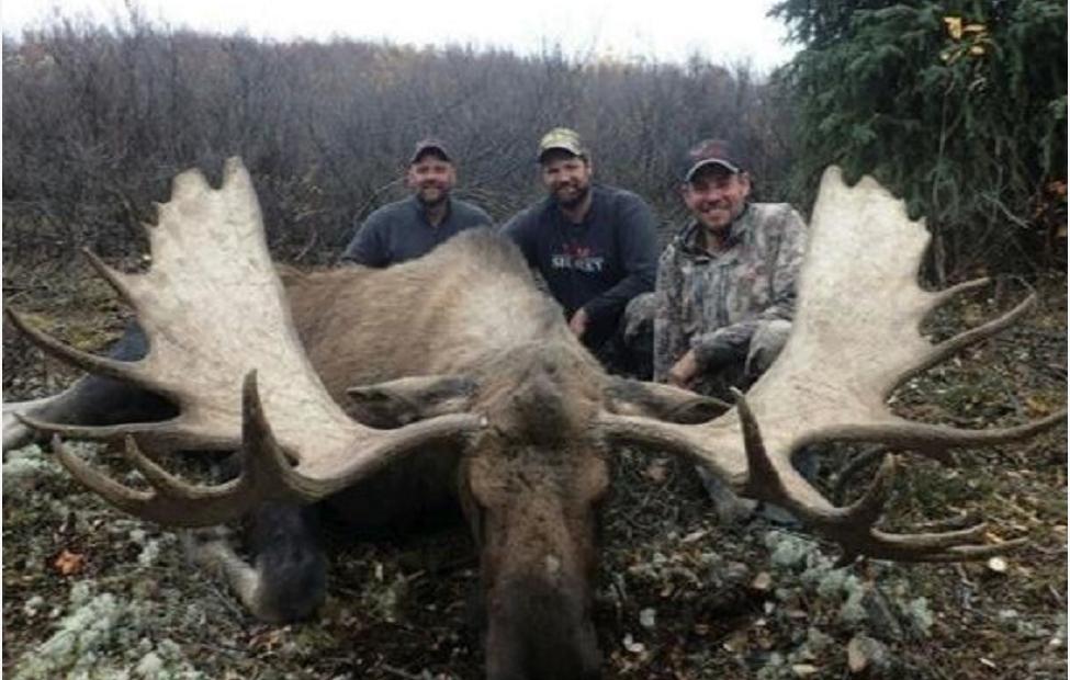 神奇“仙兽”—驼鹿究竟有多牛？很多国家定期猎杀，我国为何保护