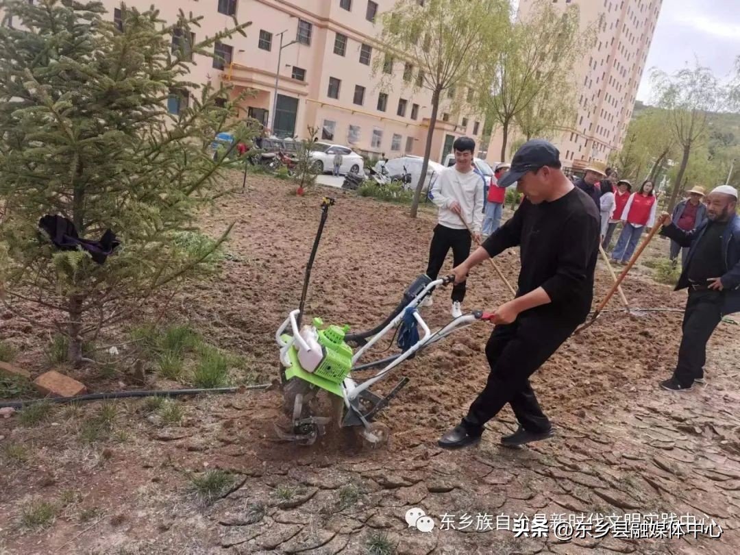 文明实践树新风志愿服务暖人心,文明实践志愿服务暖人心