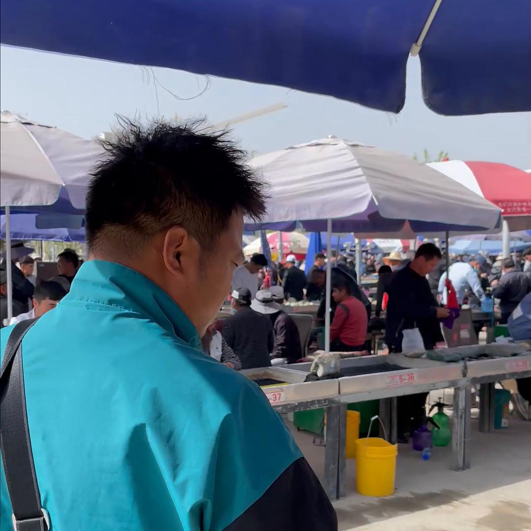 飞花水墨，素丹青，沁泠红润，妆如霞。#和田玉