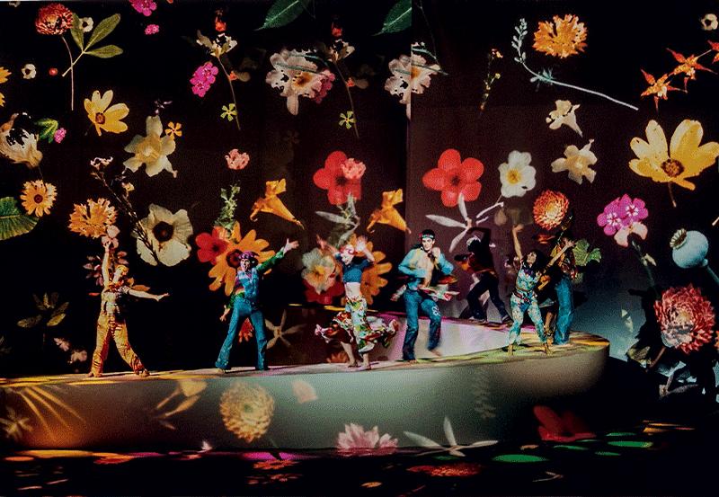 有关于虎的品牌,虎的设计