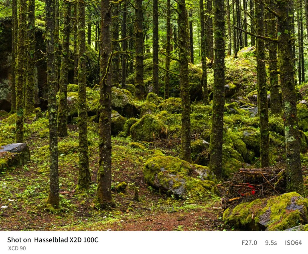 哈苏x2d-100c的三款镜头价格,哈苏x2d100c能不能用佳能ef镜头