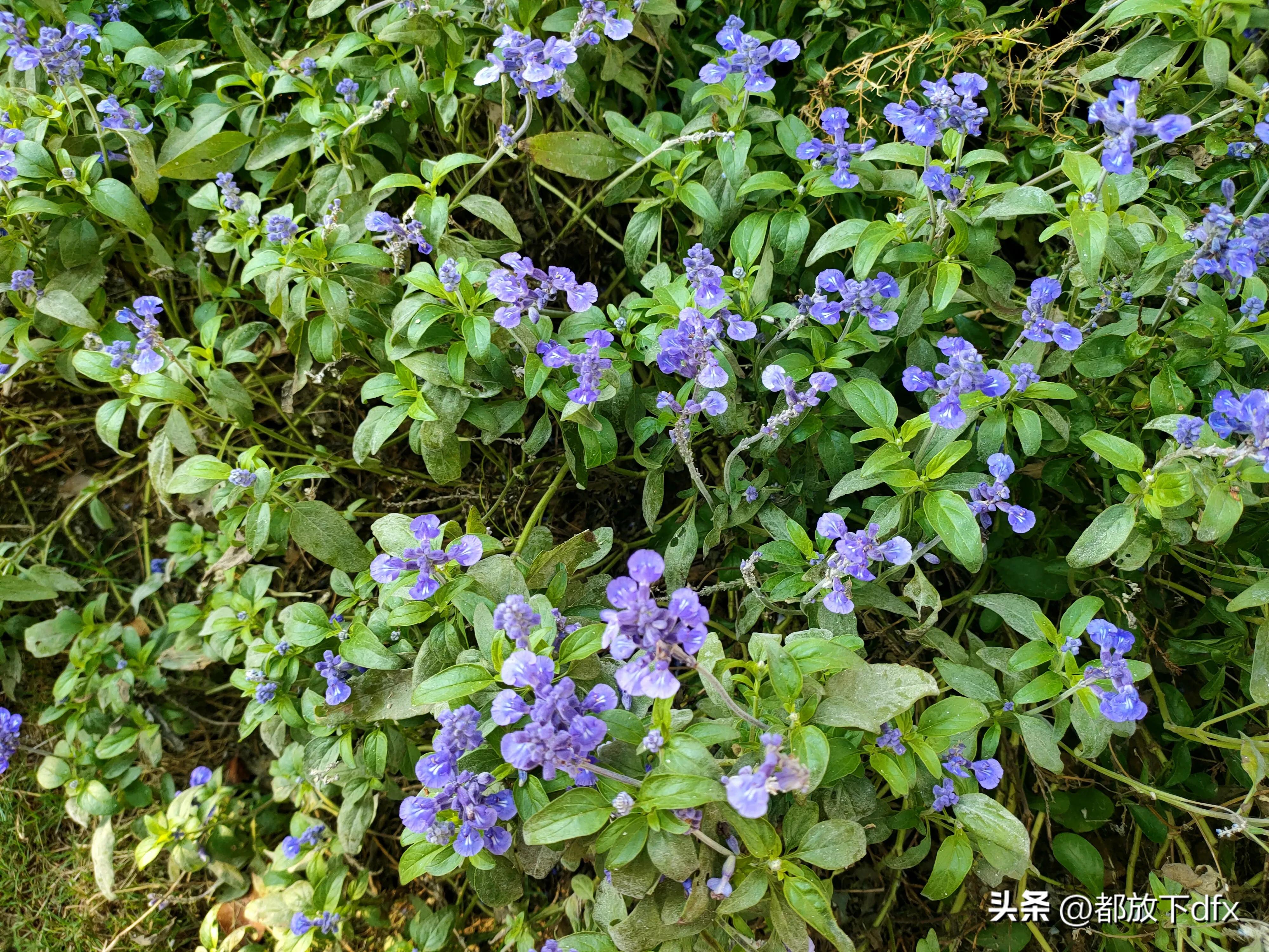分道扬镳,各走各的路,也挺好的