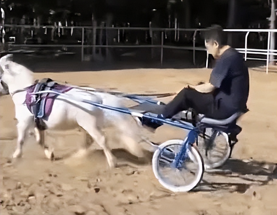 于谦60亩马场被拆，*迁拆**款高达4亿？本人笑着回应：别胡说八道