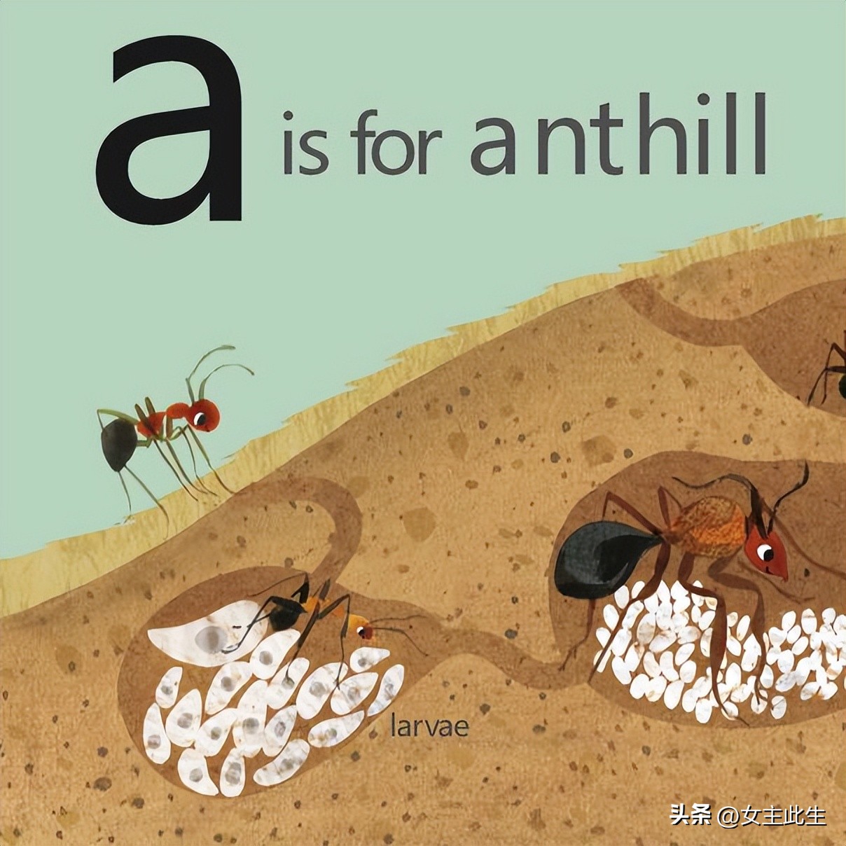 认识小动物的英语绘本,关于动物的英语绘本大全