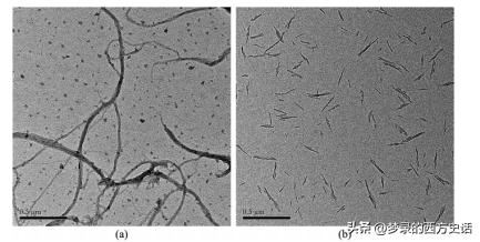 纤维和结晶纳米纤维素对醋酸纤维素膜的增强作用