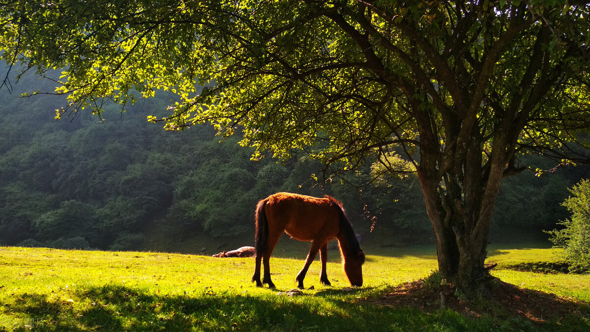 重庆武隆仙女山冬天自驾旅游攻略,仙女山游客中心到仙女山大草原