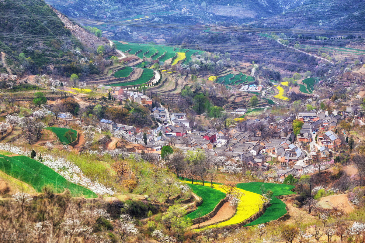 治疗睾丸潮湿的中药小偏方,治睾丸潮湿中药方