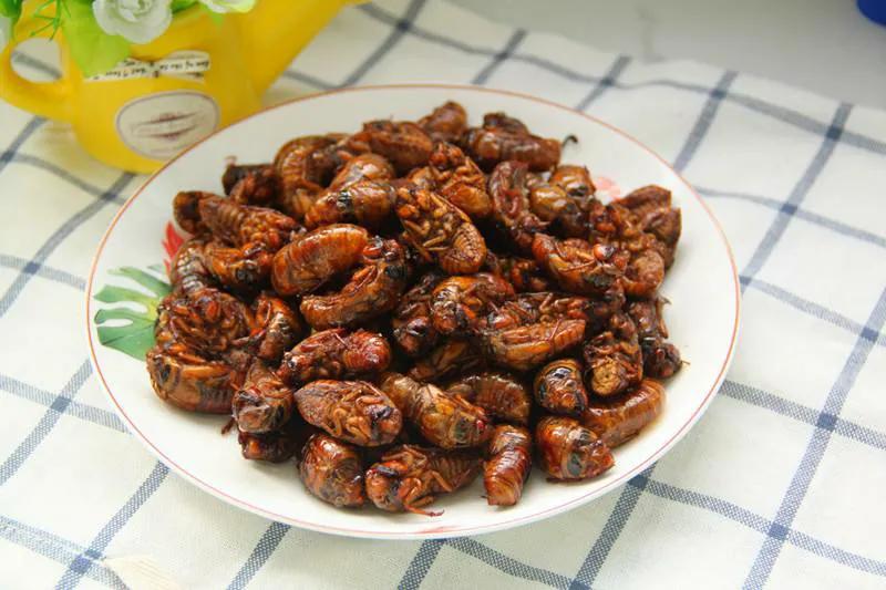 老年人高蛋白食物食谱一览表,适合老年人吃的低脂食物