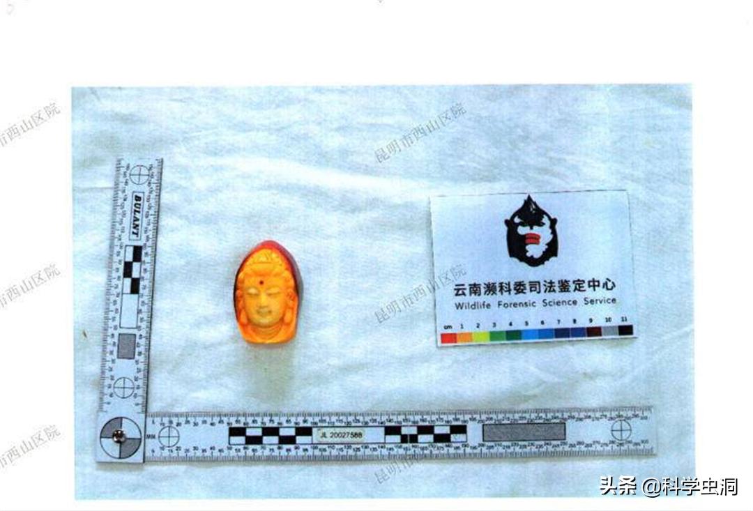 天津一女子买鸟头吊坠被判刑10年,天津女子购买吊坠