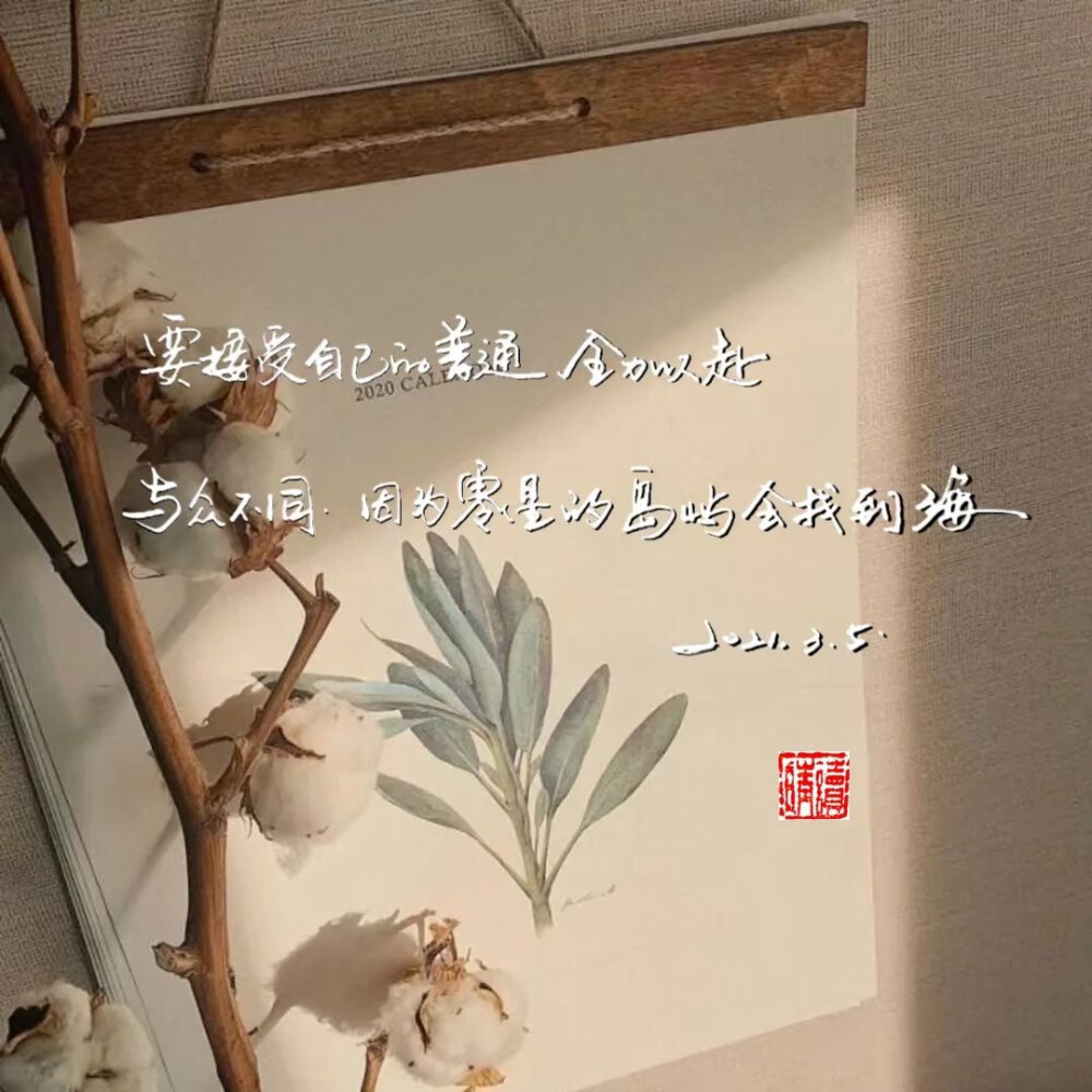 手持烟火以谋生，心怀诗意以谋爱，我马不停蹄，一意孤行