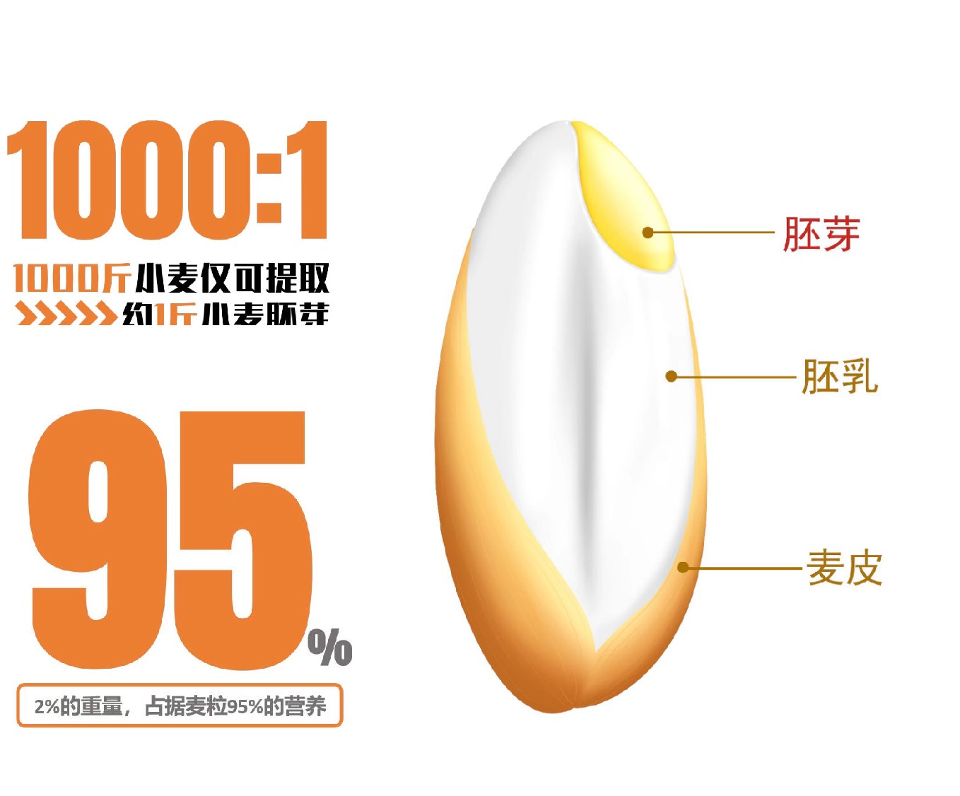 你不知道的低gi,低gi有哪些