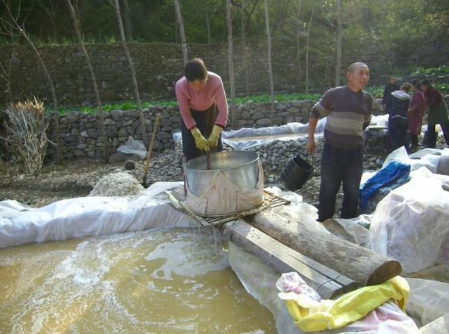 正宗的红薯粉条一般要多少钱一斤,真正的红薯粉条大概在多少钱一斤