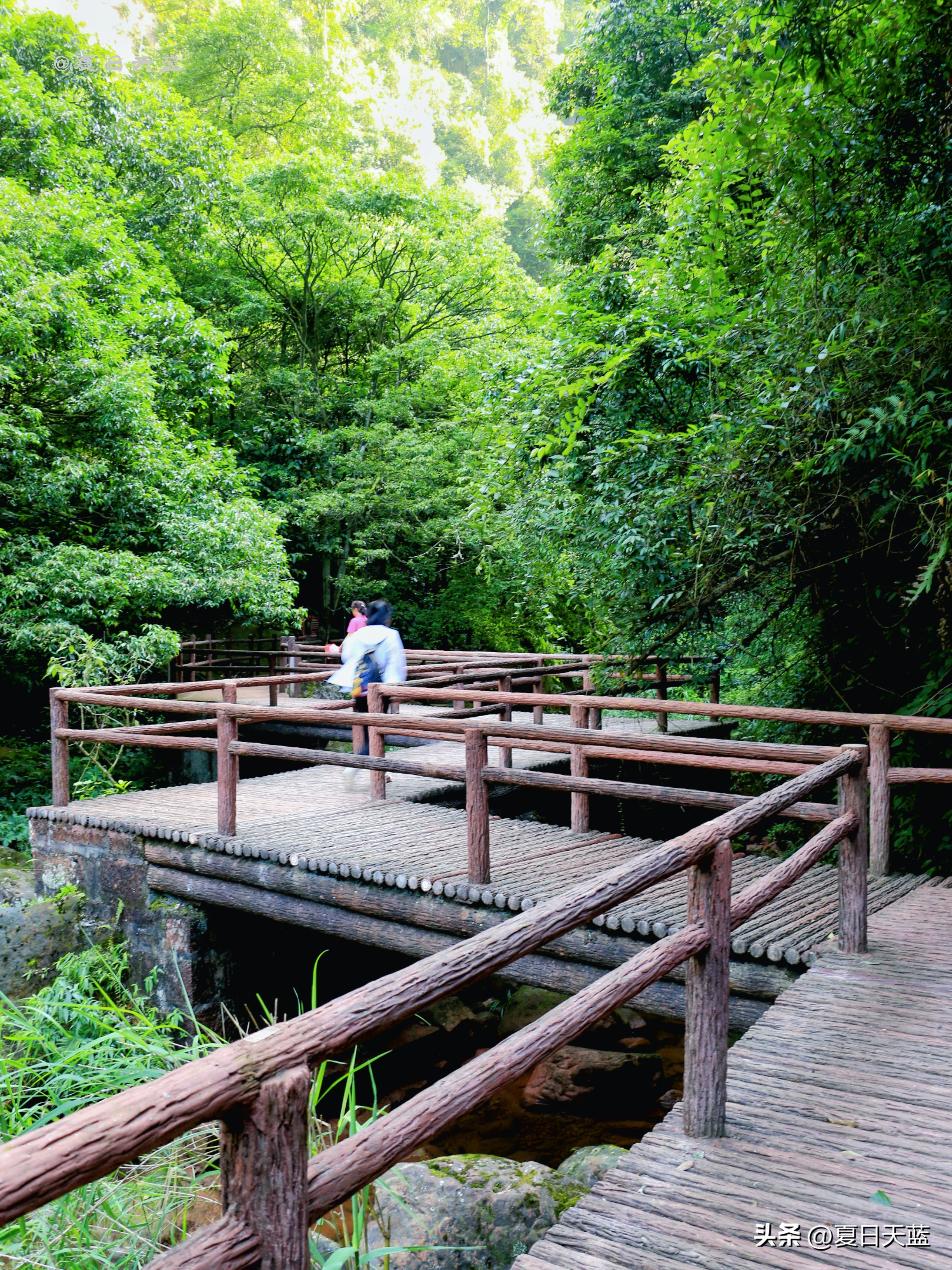 最新贵州赤水旅游攻略图,赤水市丙安古镇怎么游览