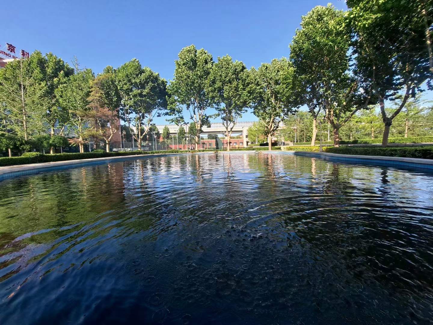 郑州北大青鸟就业真相,北大青鸟培训出来好就业吗