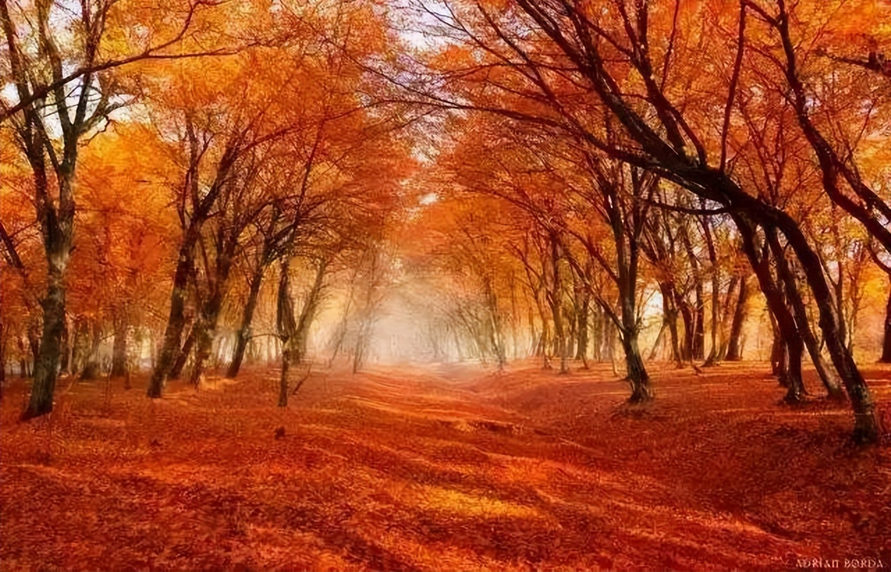 宁德摄影人的好去处,宁德摄影圣地