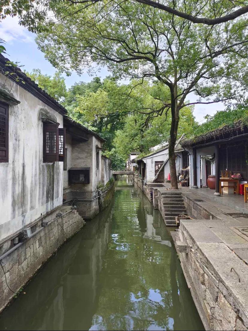 鲁迅故里旁的塔山花鸟市场,鲁迅故里附近酒店