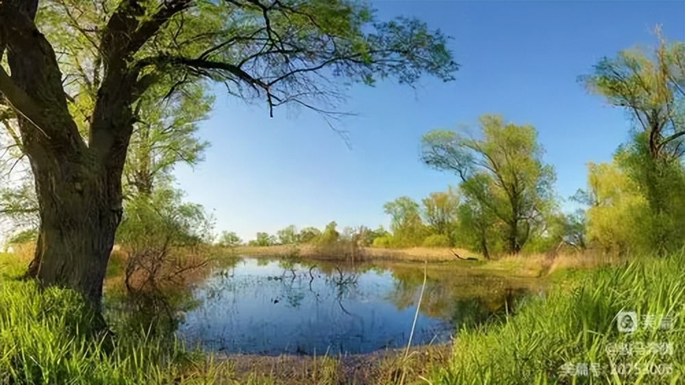 老干部对联,老干部对联大全