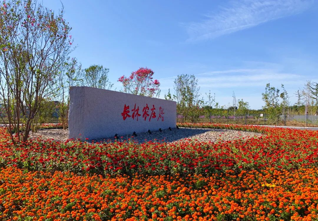 示范家庭农场申报推荐表填写,家庭农场财务网上申报怎么报