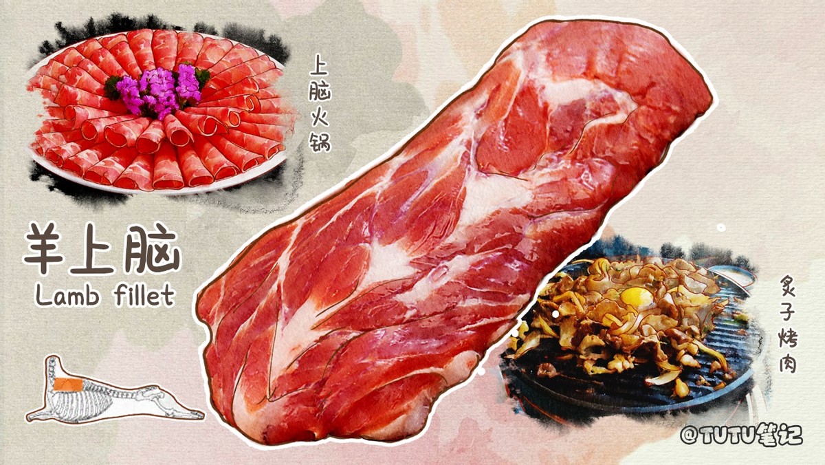常见羊肉吃法和分类,史上最全羊肉各部位吃法