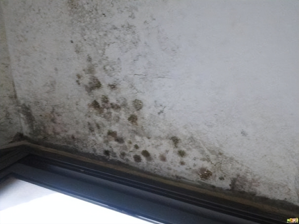 墙壁潮湿发霉用什么消毒,墙壁潮湿发霉怎样彻底处理