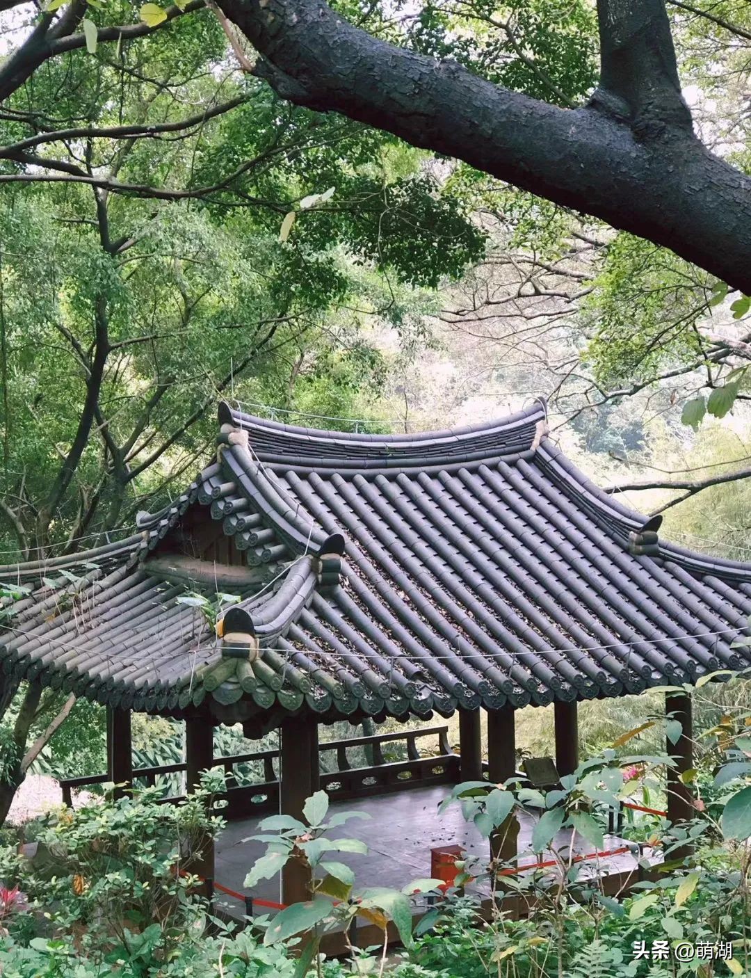 慢下来看风景静下来陶冶情操,慢下来享受安静的惬意时光