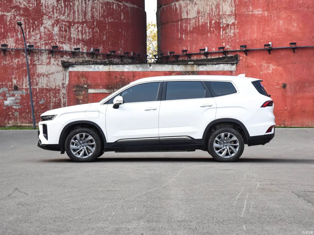 睿蓝9和蓝电怎么选,睿蓝9是不是7座