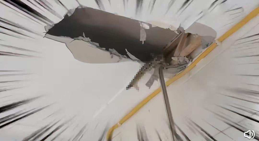 银环蛇是中国最毒的毒蛇吗,十堰发现白头蝰蛇