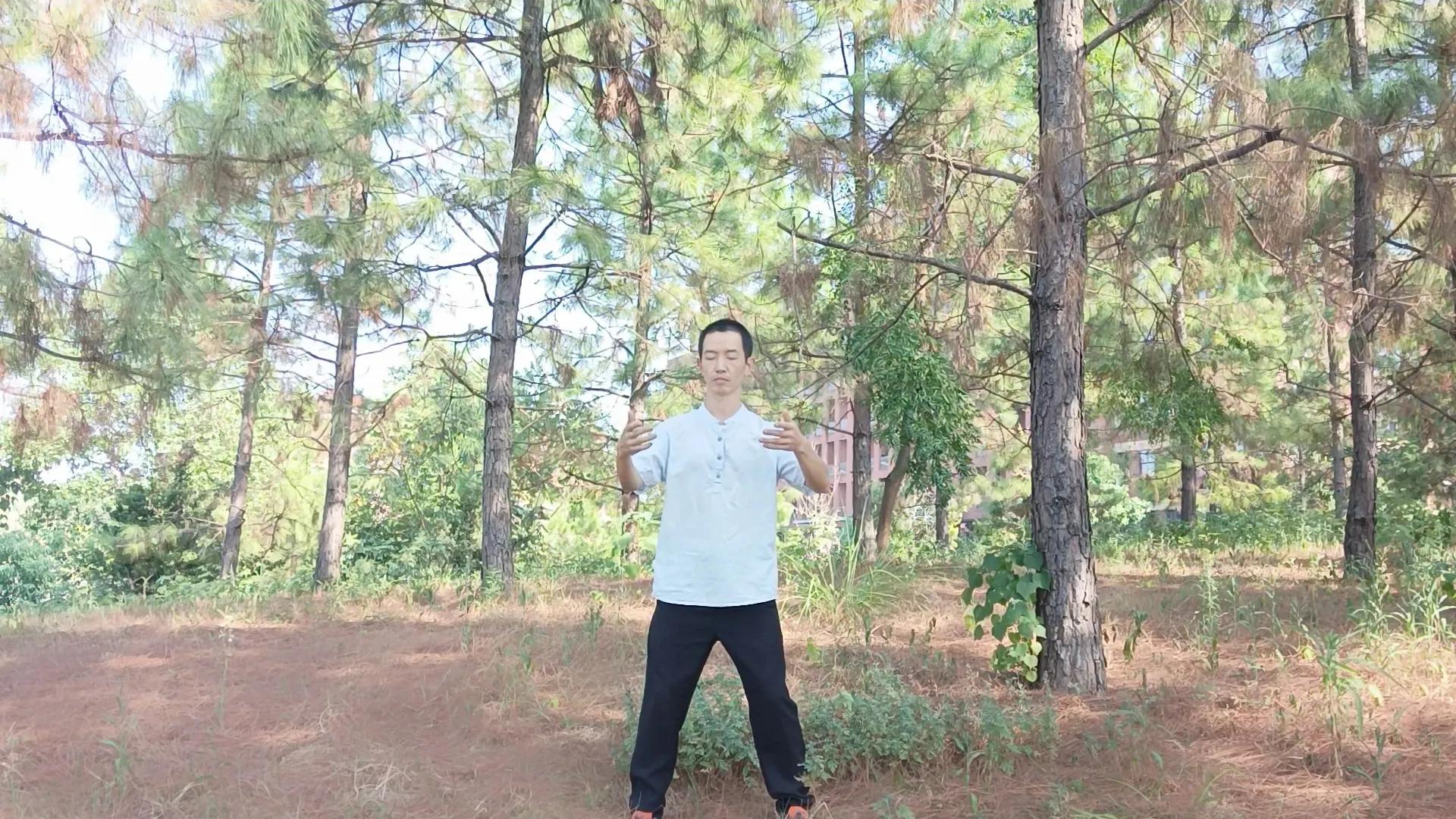 站桩到底怎么练终于有人讲明白了,初学站桩需要注意的9个点