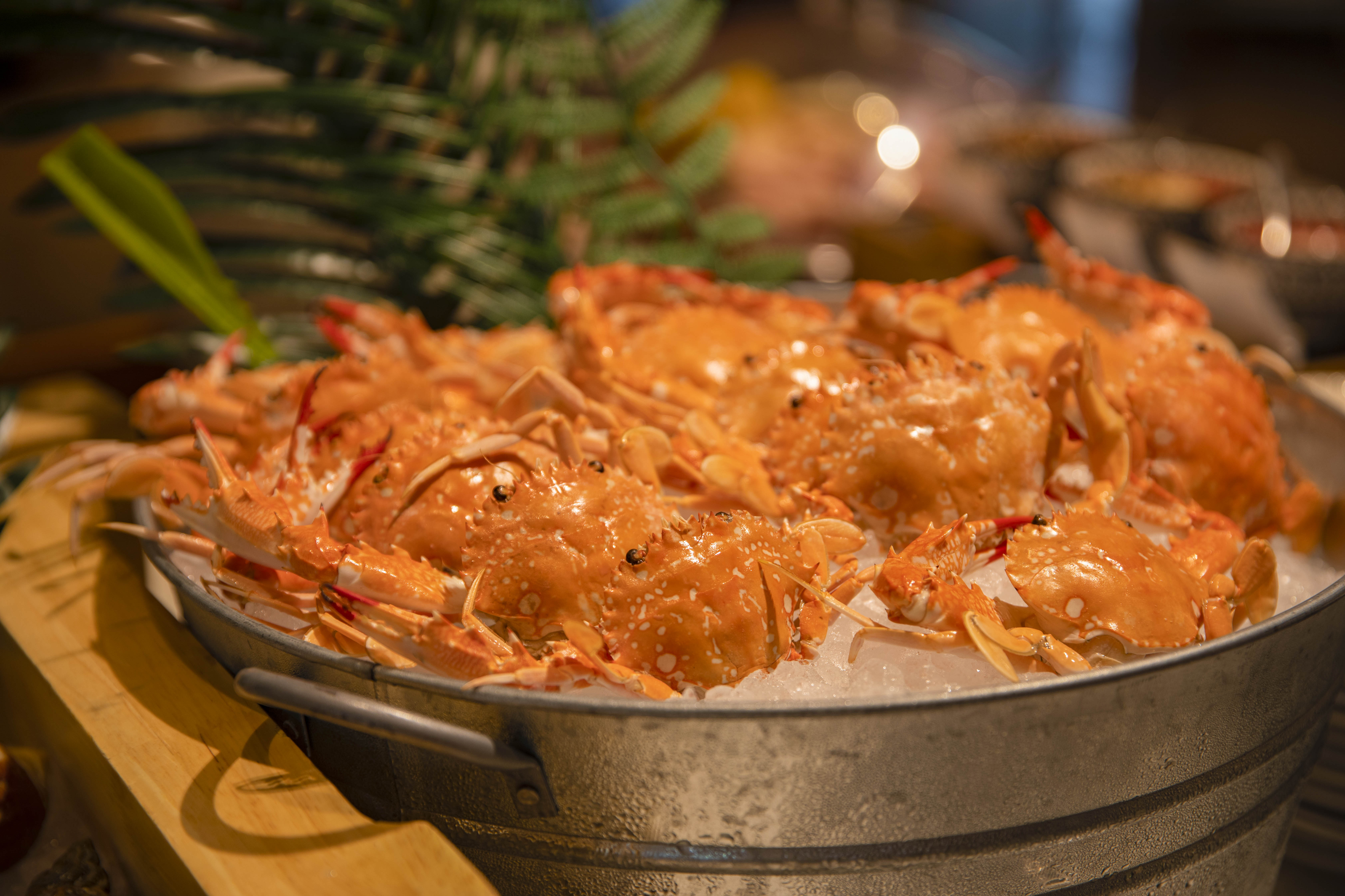 朗廷酒店是什么档次,朗廷酒店属于哪个集团