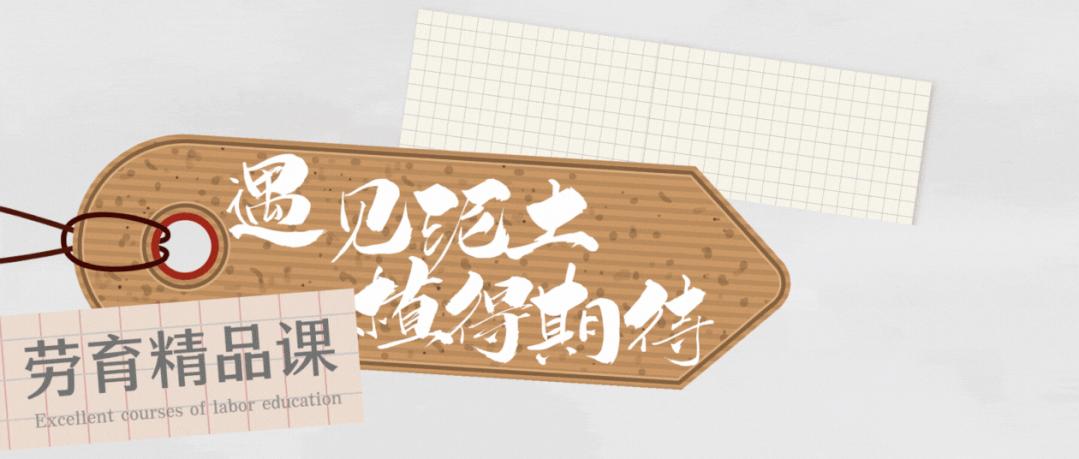 创新绵实丨聚焦新高考（三）：佳晴有新“课”，青衿自有“程”