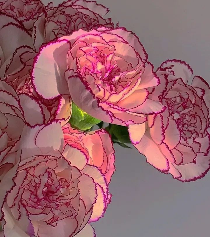 母亲节暖心文案祝福语幼儿,母亲节感恩文案暖心