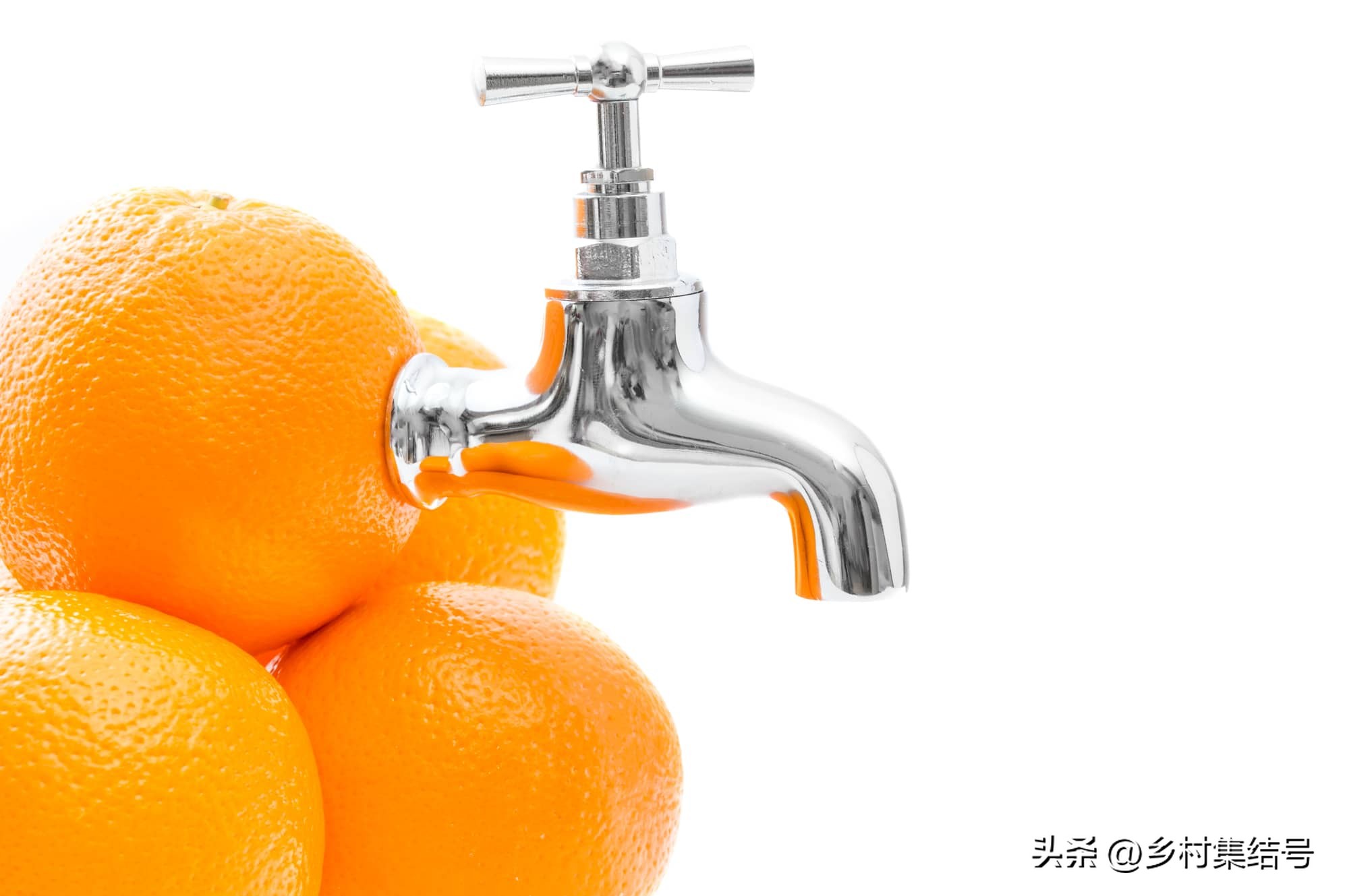 日本爱媛县柑橘,日本爱媛县柑橘研究所