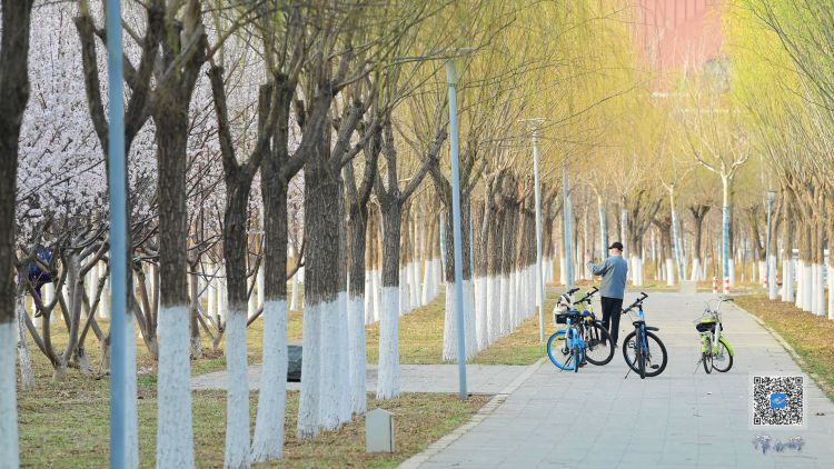 【十项行动·津南行动】在津南，赴一场“文明之约”——天津津南区创建全国文明城区工作综述