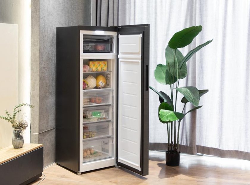 海尔冷柜品牌排名,海尔冰柜销量全世界排名