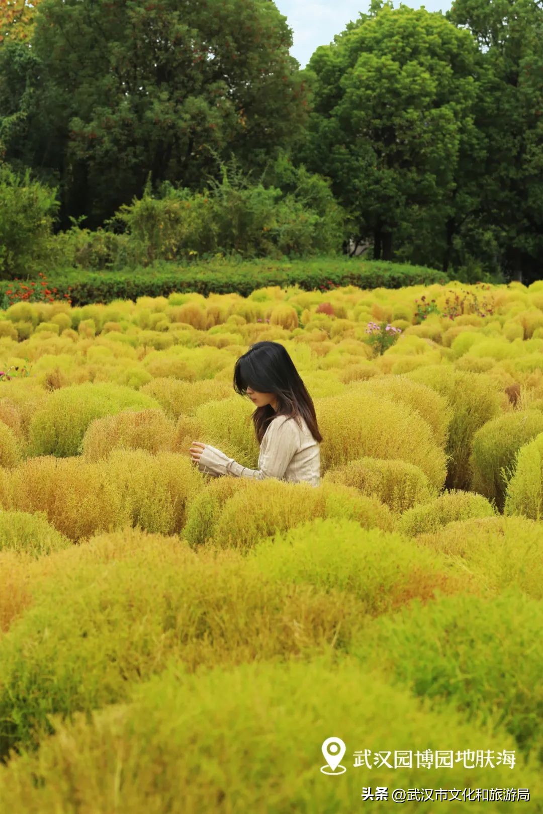 秋天的公园像一幅美丽的油画,园博园油画