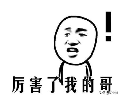 lc3自噬标记物,lc300有哪些隐藏功能