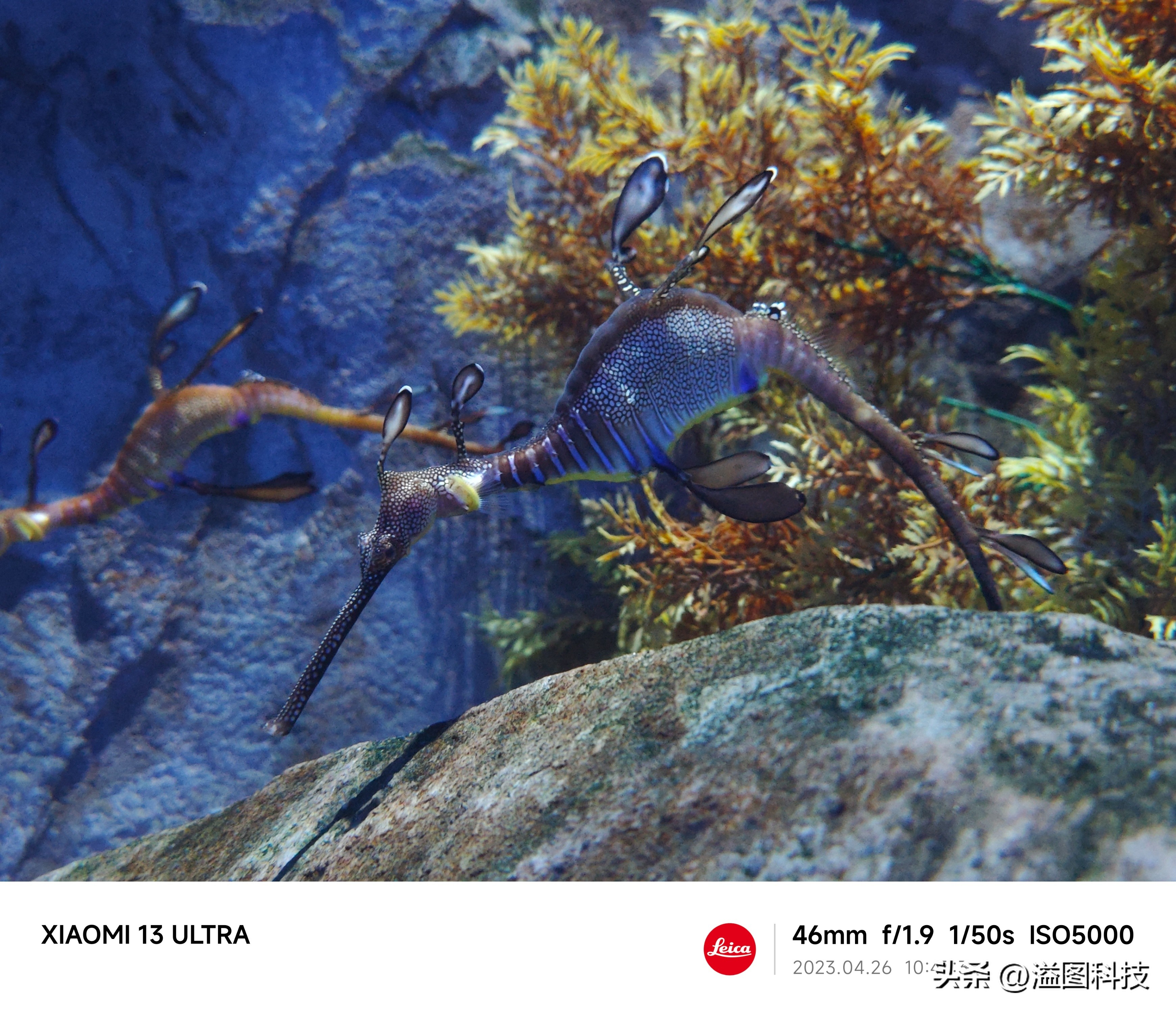 小米13Ultra影像功能深度介绍,实战篇