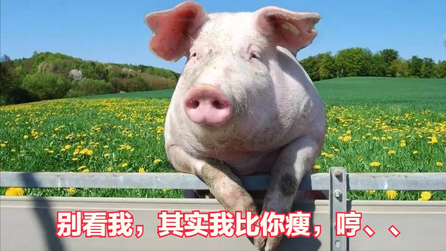 科普冷知识，知道多了，嘿！腰也不疼了，腿也不抽了整个人都爽了