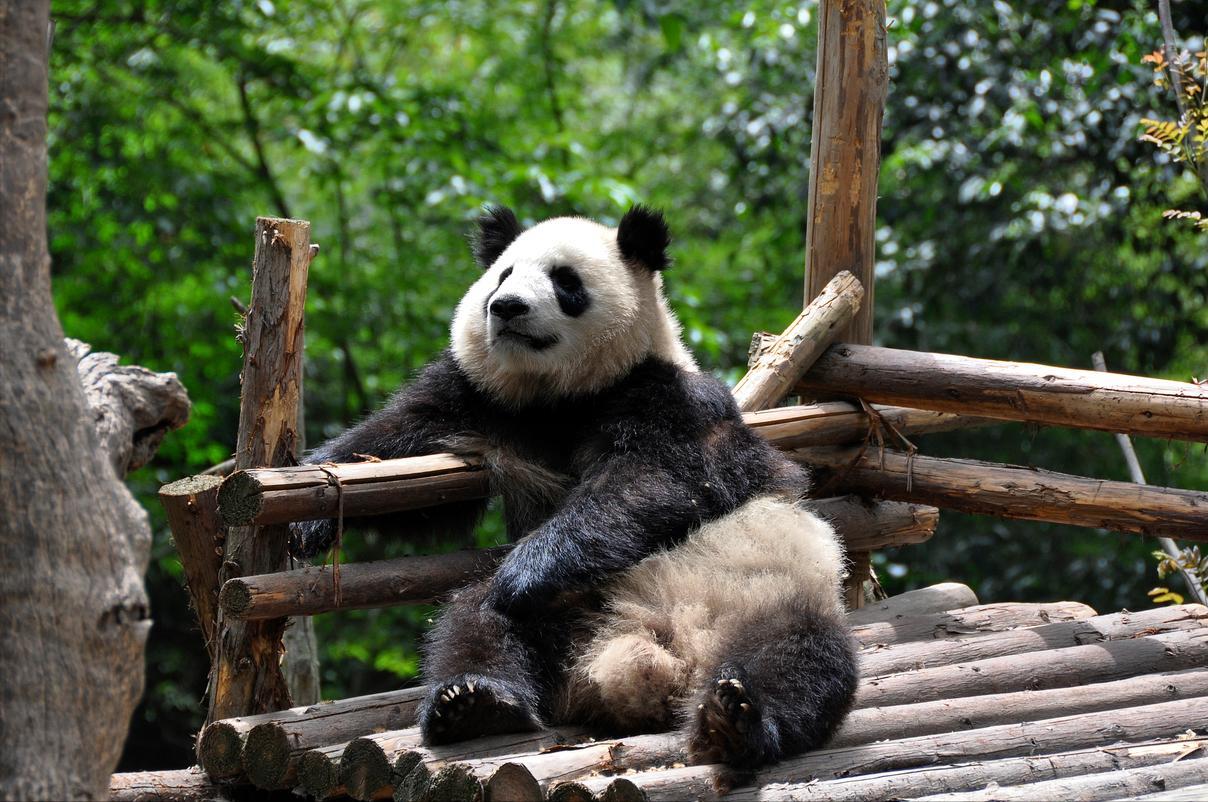 柳州个人游四川九寨沟旅游攻略,从青海去四川九寨沟旅游攻略
