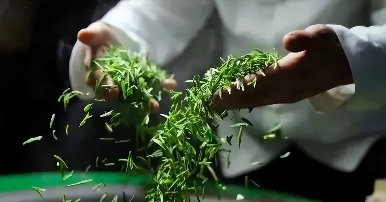 淡定从容峨眉雪芽,经典峨眉雪芽