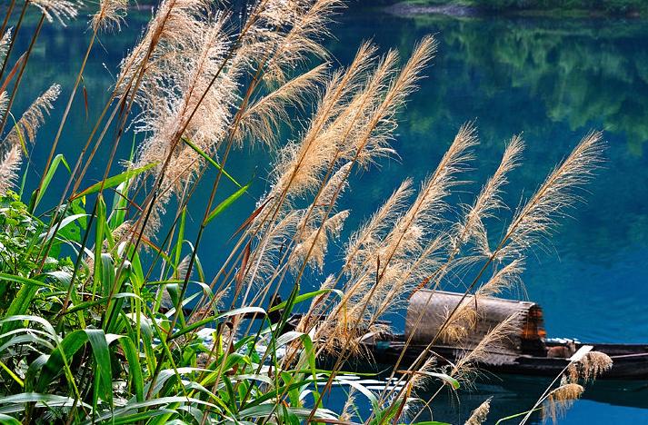 诗情画意的古风情诗,诗情画意美到极致的诗