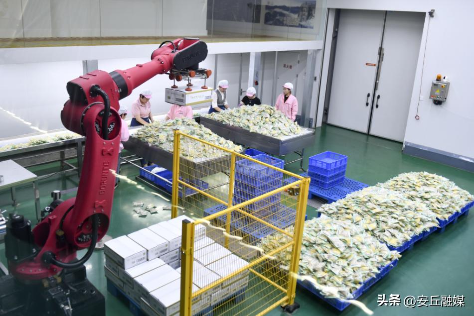 特色农产品产业运作思路,新型农产品新模式